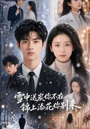 雪中送炭你不在,锦上添花你别来(60集) 雪中送炭你不在,锦上添花你别来(60集)全集免费观看