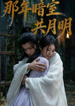 那年暗室共月明(73集) 那年暗室共月明(73集)短剧免费观看