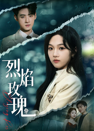 烈焰玫瑰（37集）夸克在线观看