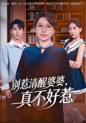 别惹清醒婆婆，真不好惹（80集）大结局一气呵成