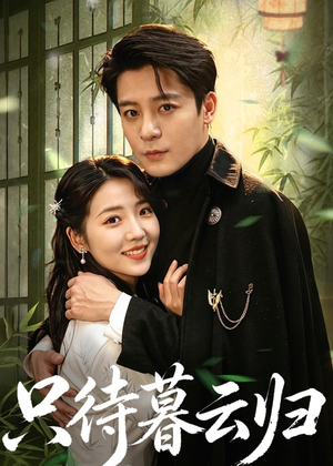 只待暮云归（70集）无需充值尽情看