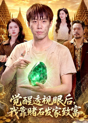觉醒透视眼后，我靠赌石发家致富（89集）观看软件
