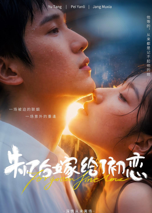 失忆后嫁给了初恋(10集) 失忆后嫁给了初恋(10集)番茄免费短剧