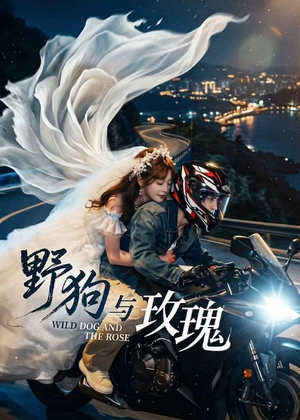 野狗与玫瑰(30集) 野狗与玫瑰(30集)小短剧抢先看