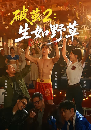 破茧2：生如野草（55集）在线看免费版