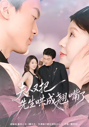 夫人又把先生哄成翘嘴了（60集）男主角是谁