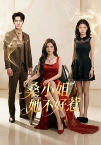 桑小姐她不好惹（103集）百度网盘在线看