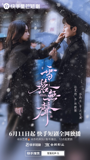 雪落无声(20集) 雪落无声(20集)百度网盘资源