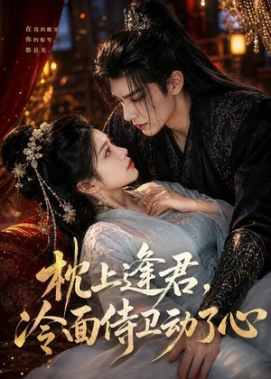 枕上逢君,冷面侍卫动了心(92集) 枕上逢君,冷面侍卫动了心(92集)好看短剧推荐