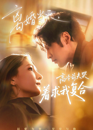 离婚当天，高冷前夫哭着求我复合（77集）在线播放
