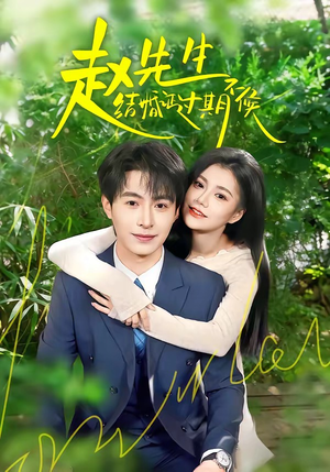赵先生结婚证过期不候（50集）精彩短剧分享