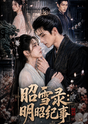 昭雪录：明昭纪事（20集）精彩好看短剧
