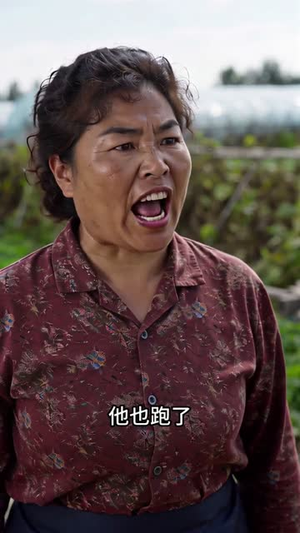 都市收菜女王(40集) 都市收菜女王(40集)热播短剧重燃