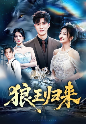 狼王归来(51集) 狼王归来(51集)短剧在线更新