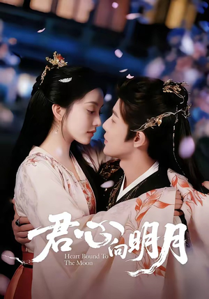 君心向明月（60集）精彩短剧随心推