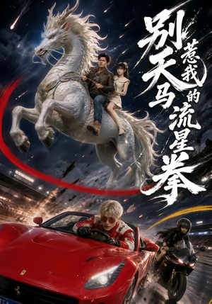 别惹我的天马流星拳(40集) 别惹我的天马流星拳(40集)第三季
