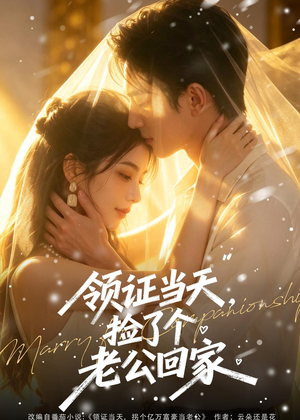 领证当天,捡了个老公回家(80集) 领证当天,捡了个老公回家(80集)免费观看完整版
