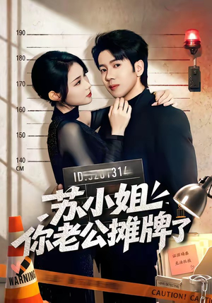 苏小姐你老公摊牌了(60集) 苏小姐你老公摊牌了(60集)剧情简介
