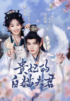 贵妃的白猫夫君(81集) 贵妃的白猫夫君(81集)热门短剧来袭