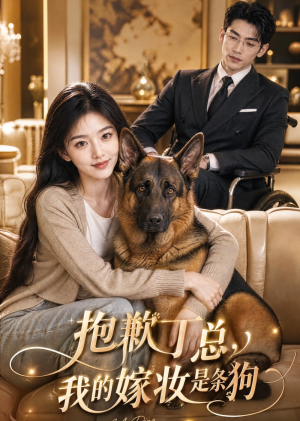 抱歉丁总,我的嫁妆是条狗(67集) 抱歉丁总,我的嫁妆是条狗(67集)热门短剧推荐