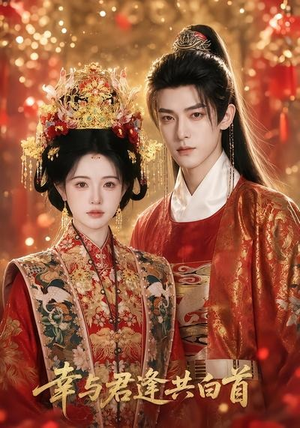幸与君逢共白首（79集）短剧抢先看全集