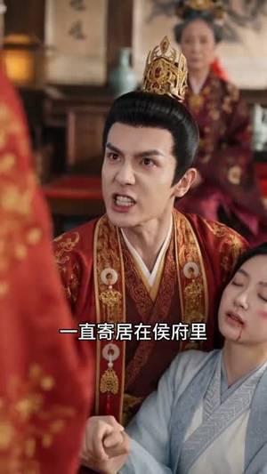 世子夫人不好惹(67集) 世子夫人不好惹(67集)好看吗