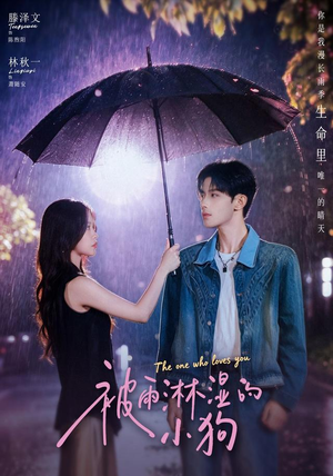 被雨淋湿的小狗(80集) 被雨淋湿的小狗(80集)短剧全集完整版