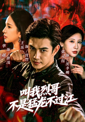 叫我烈哥,不是猛龙不过江(111集) 叫我烈哥,不是猛龙不过江(111集)百度网盘在线看
