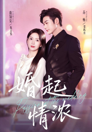 婚起情浓(99集) 婚起情浓(99集)最火的短剧