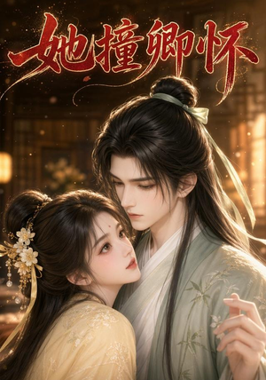 她撞卿怀(30集) 她撞卿怀(30集)全集我都看完了