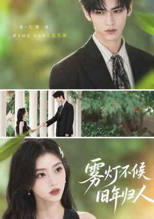 雾灯不候旧年归人（50集）百度在线观看
