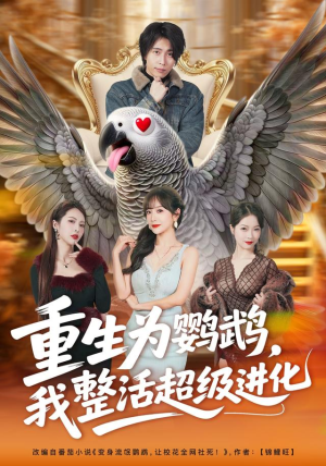 重生为鹦鹉，我整活超级进化（70集）爱上了这部剧了