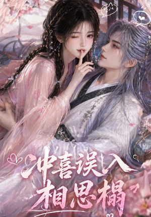 冲喜误入相思榻（50集）免费观看全集