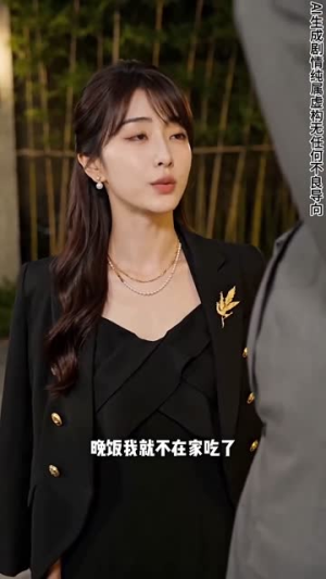 你是我意外的归途(104集) 你是我意外的归途(104集)短剧推荐分享