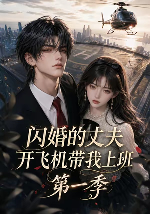 闪婚的丈夫开飞机带我上班第一季（91集）爆款短剧追不停