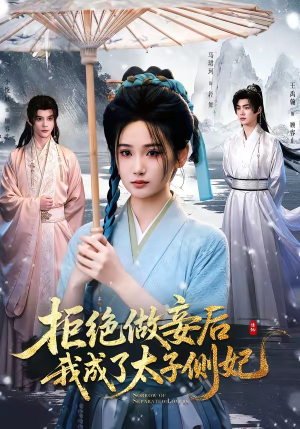 拒绝做妾后我成了太子侧妃＆一纸离人愁（89集）超好看的短剧