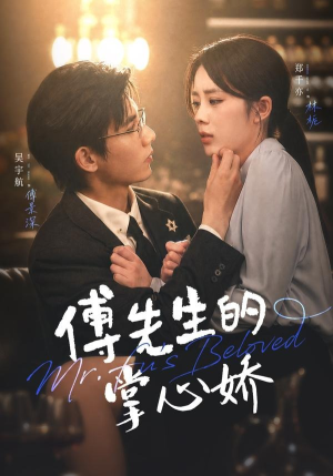傅先生的掌心娇（72集）观看软件