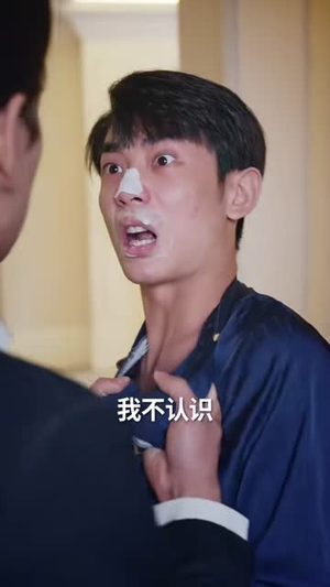 订婚当天被抢亲（73集）红果短剧看全集