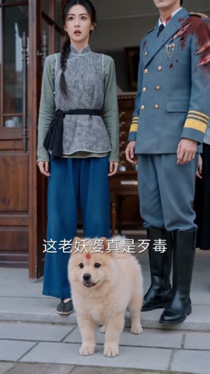 灵犬携福来，旺遍上海滩（80集）一口气追完全集