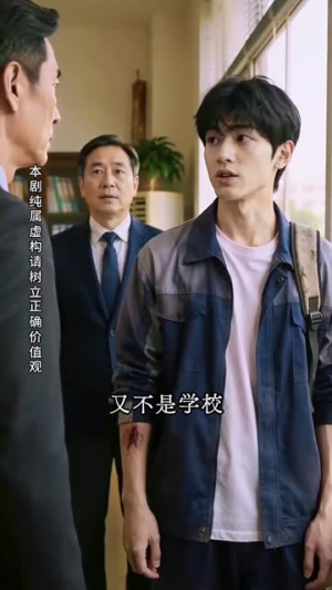 青春向上，少年自有锋芒（30集）熬夜追短剧