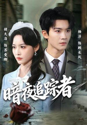 暗夜追踪者(61集) 暗夜追踪者(61集)第二季