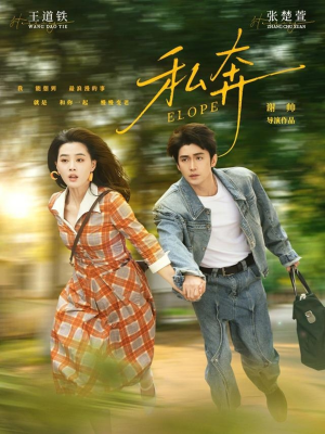 私奔（76集）排行榜前十短剧