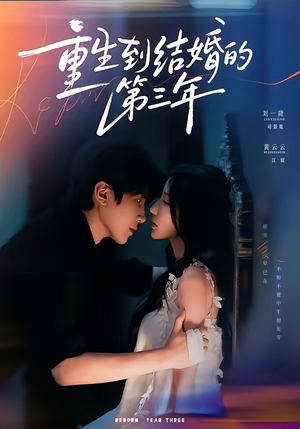 重生到结婚的第三年(73集) 重生到结婚的第三年(73集)360网盘观看