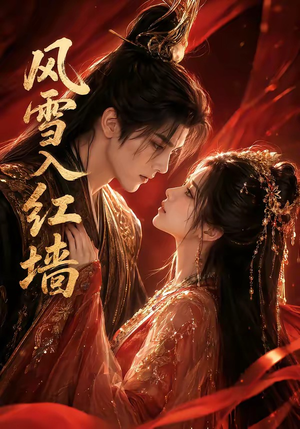 风雪入红墙（60集）无需充值尽情看