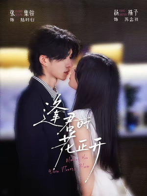 逢君时花正开(72集) 逢君时花正开(72集)免费短剧大全