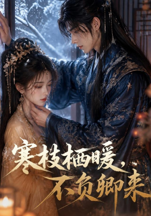寒枝栖暖，不负卿来（50集）追风的女孩短剧