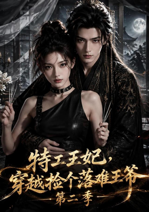 特工王妃，穿越捡个落难王爷第二季（164集）全集下载