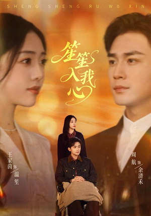 笙笙入我心(90集) 笙笙入我心(90集)原创精彩短剧