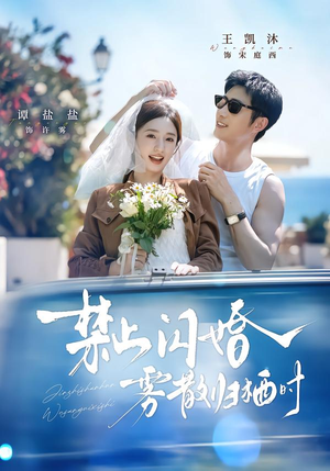 禁止闪婚,雾散归栖时(66集) 禁止闪婚,雾散归栖时(66集)在线观看全集