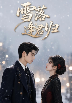 雪落逢君归(116集) 雪落逢君归(116集)全剧免费观看